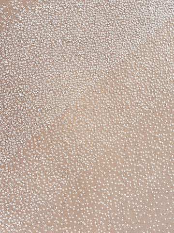 Dantela Couture Ivory in Degrade, cu Perle, Margele si Paiete